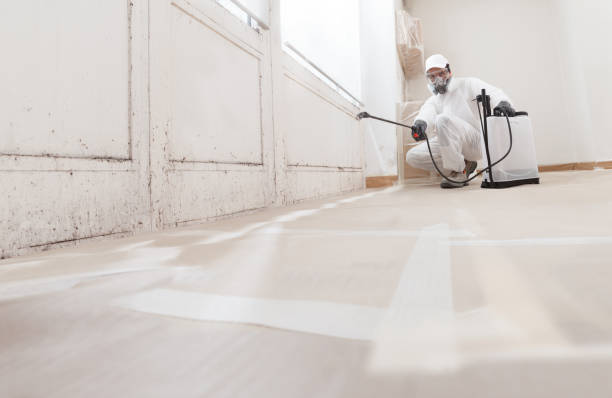 Black mold remediation team in Princeton